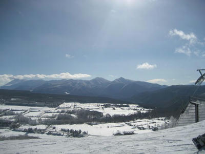 IMG_3768.jpg