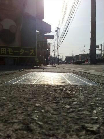 20090305876.jpg