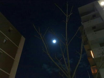 20090310954.jpg