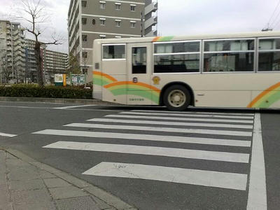 20090311969.jpg