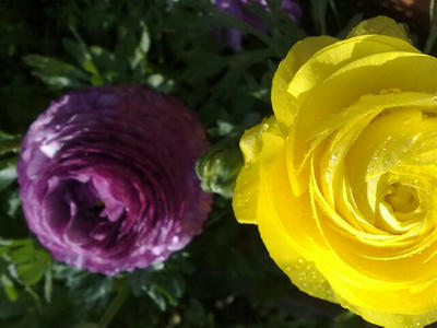 20090312994.jpg