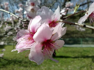 200903211170.jpg