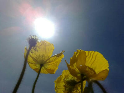 200904181555.jpg