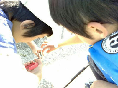 200910314378.jpg
