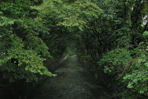 玉川上水の写真