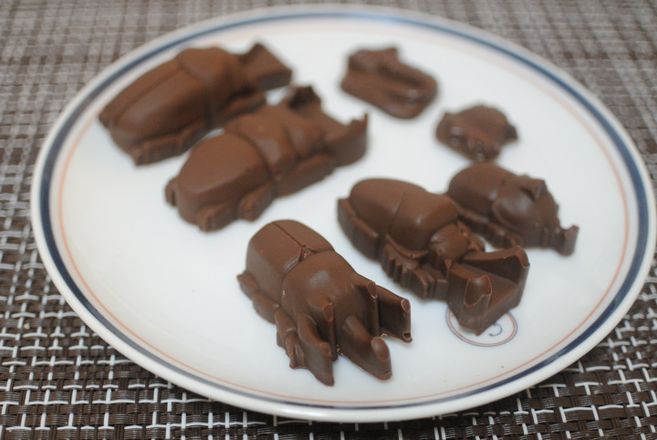 虫チョコ その他 まるごと玉川上水ブログ