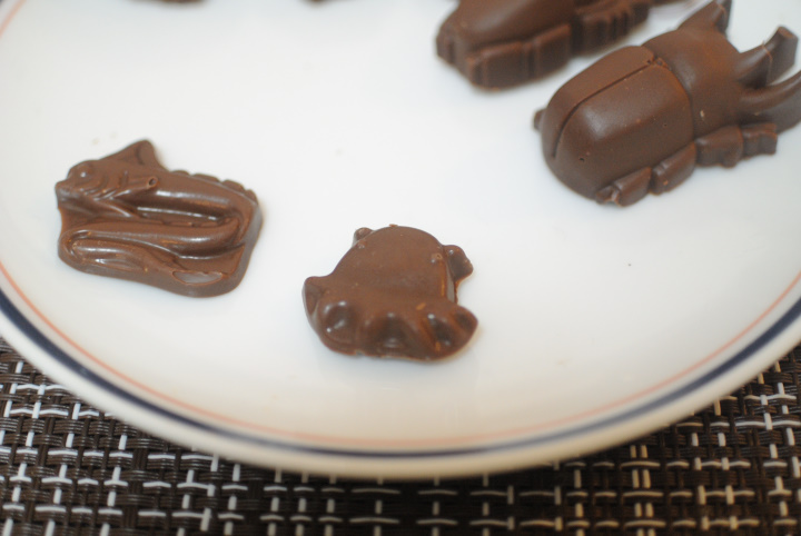 虫チョコ その他 まるごと玉川上水ブログ