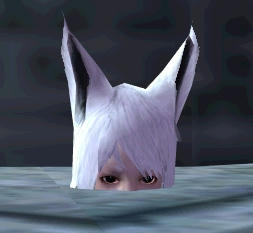 ｱｰｸﾛｰﾄﾞ