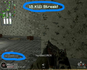 15kill
