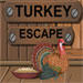 turkey-escape-75x75.jpg