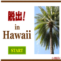 cabeza_dassyutuinhawaii.png