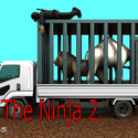 theNinja2.png