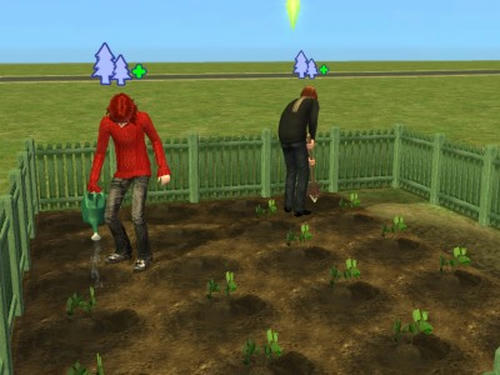 snapshot_157b76f1_b583dbef.jpg