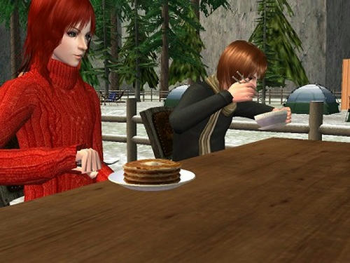 snapshot_157b76f1_35d72197.jpg
