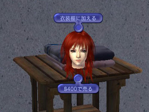 SIM0016.jpg