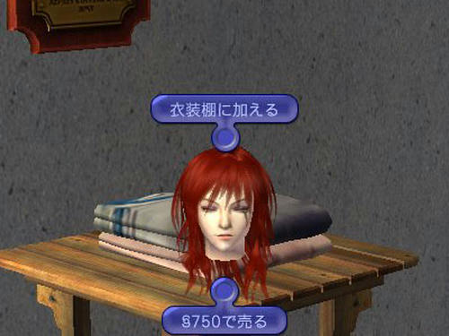 SIM0021.jpg