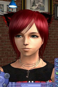 SIM0009.jpg