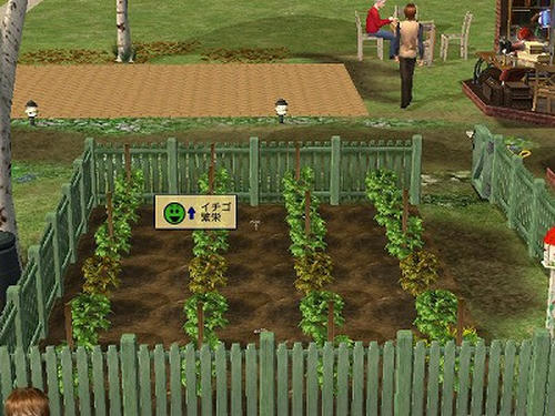 SIM0035.jpg