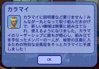 SIM0045.jpg