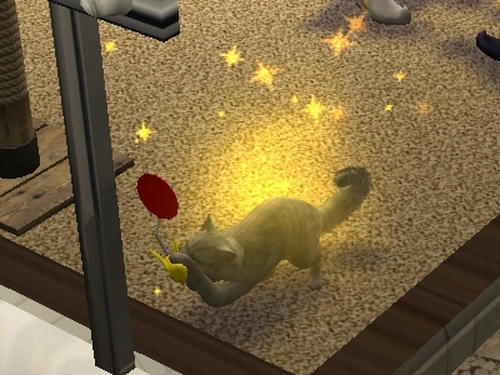 SIM0051.jpg