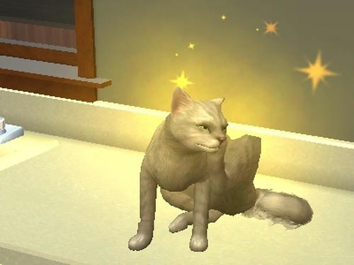 SIM0054.jpg