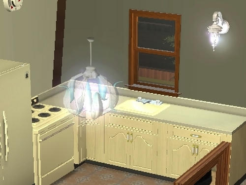 SIM0053.jpg