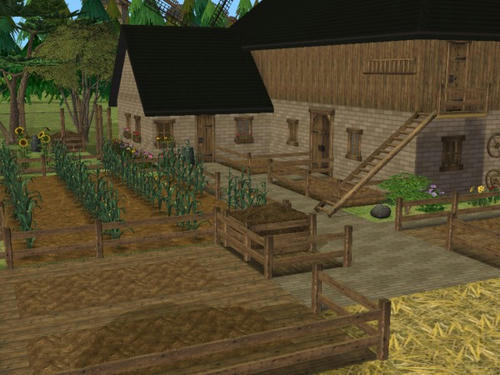 snapshot_00000021_b62c9a9e.jpg