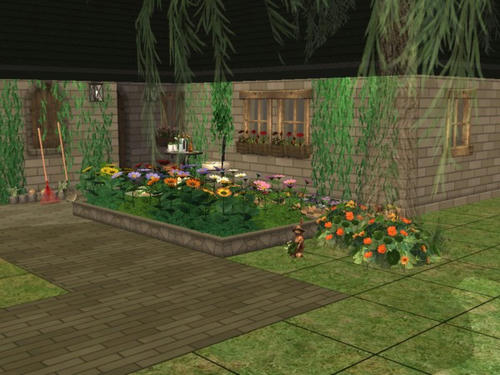 snapshot_00000021_362dbb55.jpg