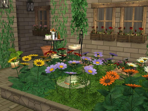 snapshot_00000021_f62dbf18.jpg