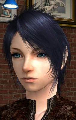 SIM0006.jpg