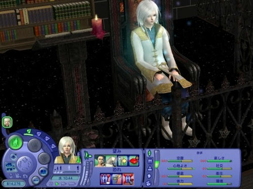 SIM0014.jpg