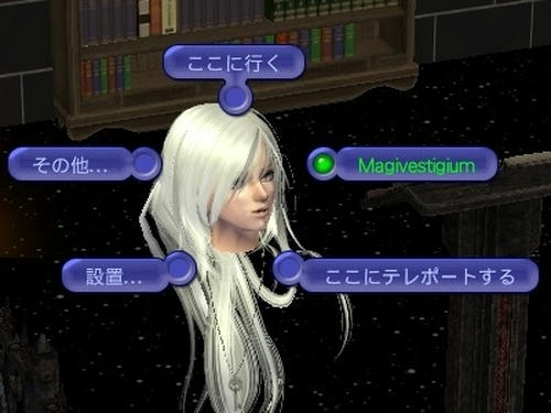 SIM0017.jpg