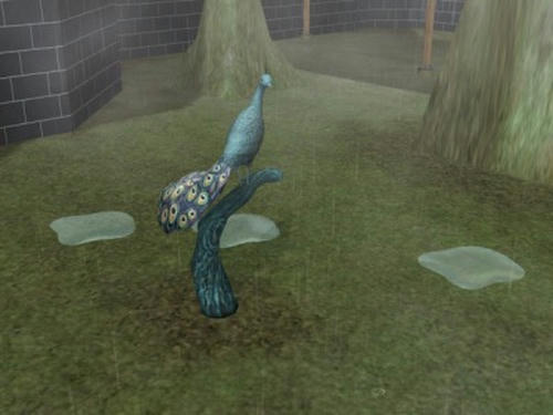 snapshot_957ba7ad_76655402.jpg