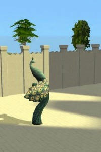 snapshot_957ba7ad_56655632.jpg