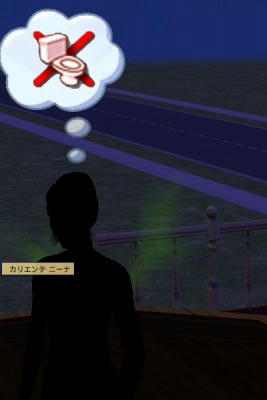 SIM0059.jpg