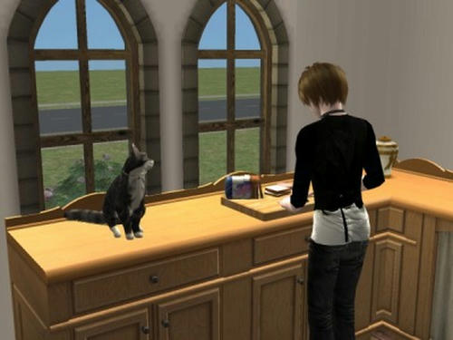 snapshot_566e923e_366eae53.jpg