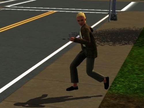 Sims30009.jpg