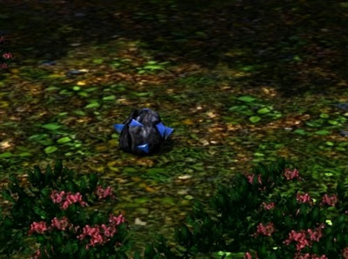 Sims30056.jpg