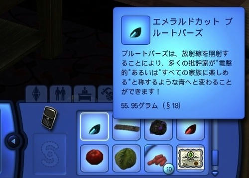 Sims3_07010002.jpg