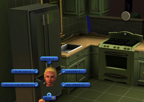 Sims30019.jpg