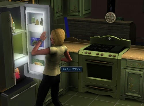 Sims30021.jpg
