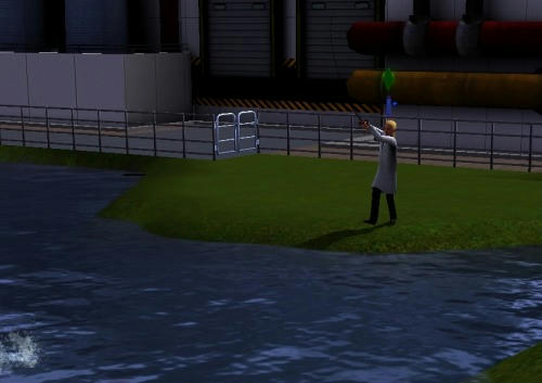 Sims30054.jpg