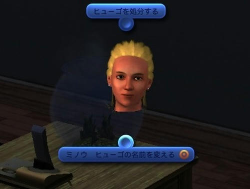 Sims3_07010001.jpg