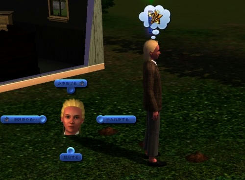 Sims30015.jpg