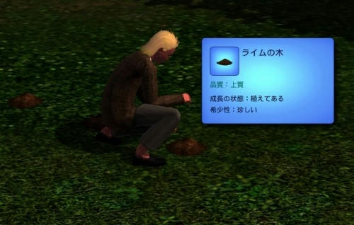 Sims30014.jpg
