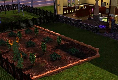 Sims3_06300012.jpg