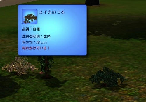 Sims30008.jpg