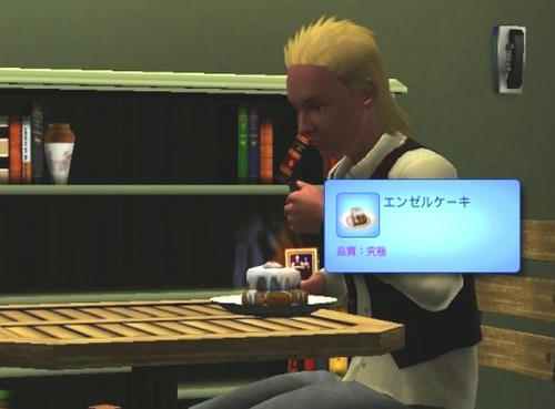 Sims3_06300011.jpg