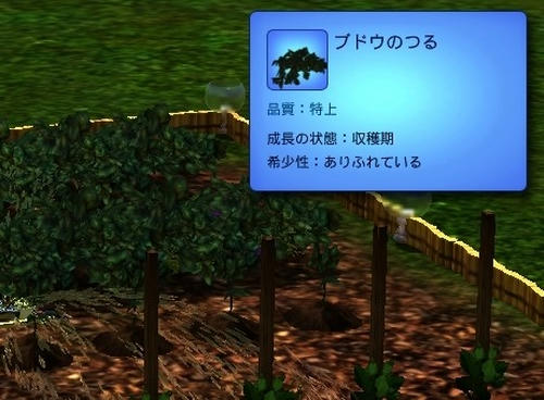 Sims30012.jpg