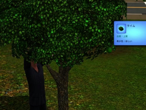Sims30029.jpg
